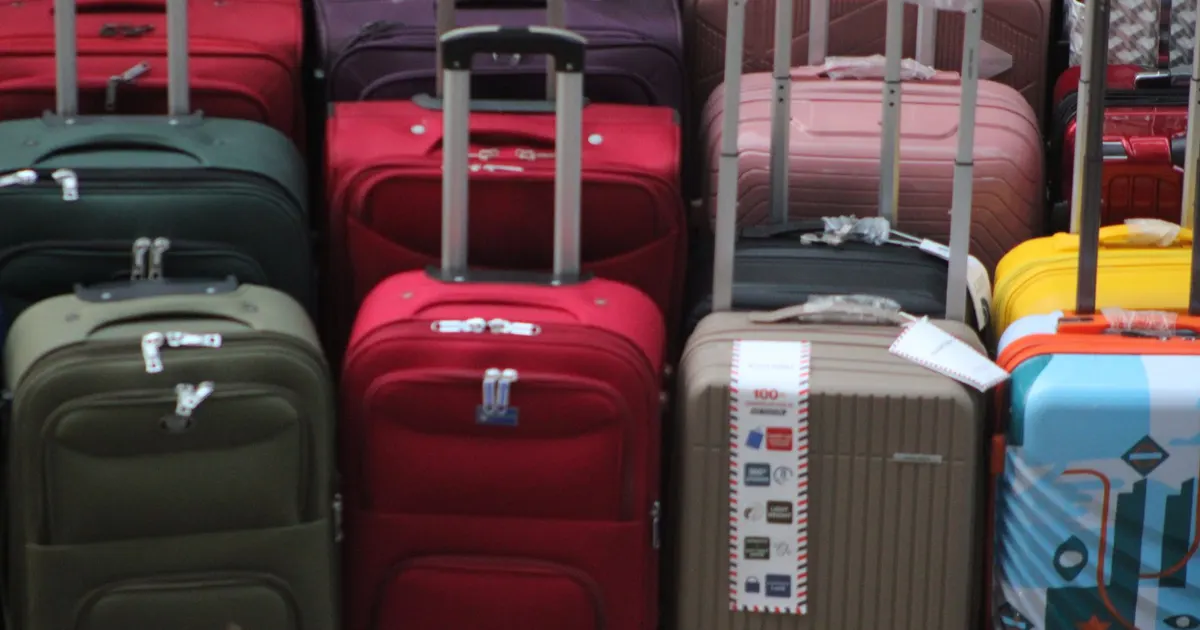 Rows of upright soft-sided suitcases with telescoping handles in many colours, typical of bag and luggage manufacturing in Vietnam
